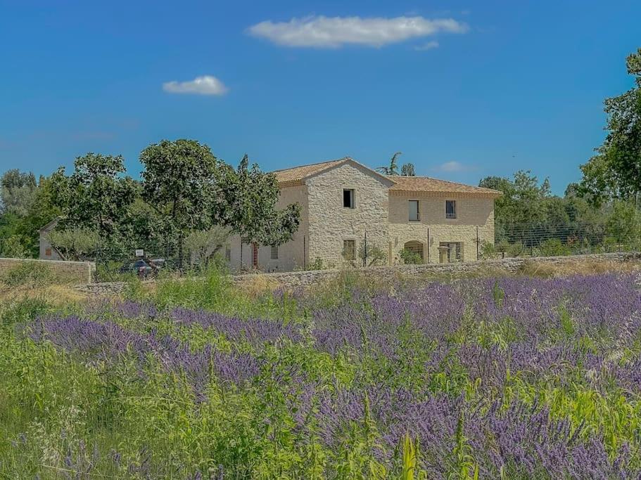Le Mas Du Moulin Puygiron Exterior photo